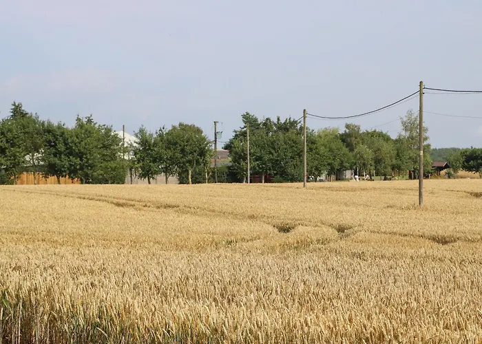 Cornfield Nyaraló *