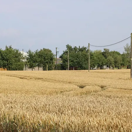 Cornfield Holiday home *