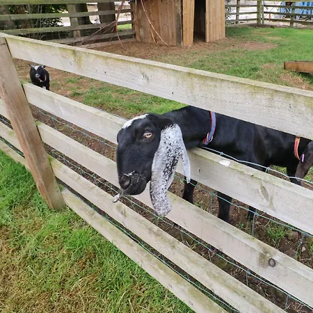 펜션 Cornfield 노샐러톤