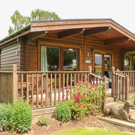 Cornfield * 노샐러톤