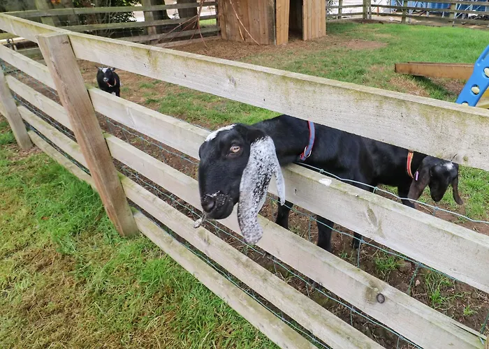 Holiday home Cornfield Northallerton