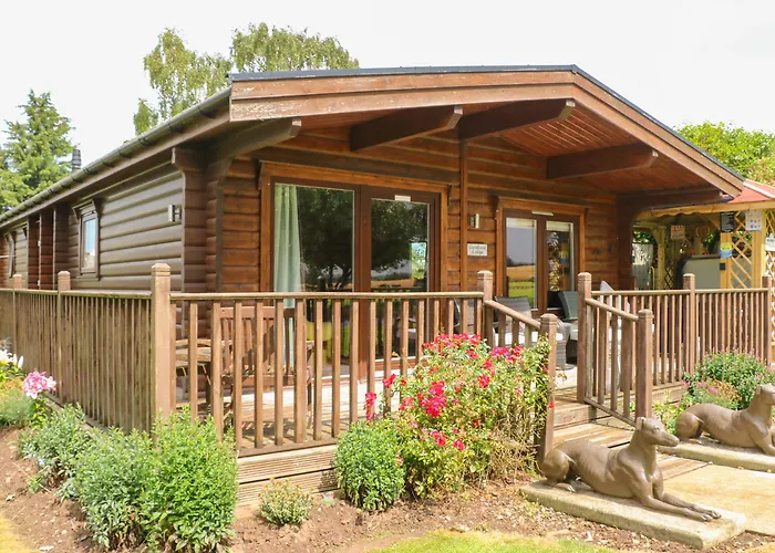 Cornfield * Northallerton