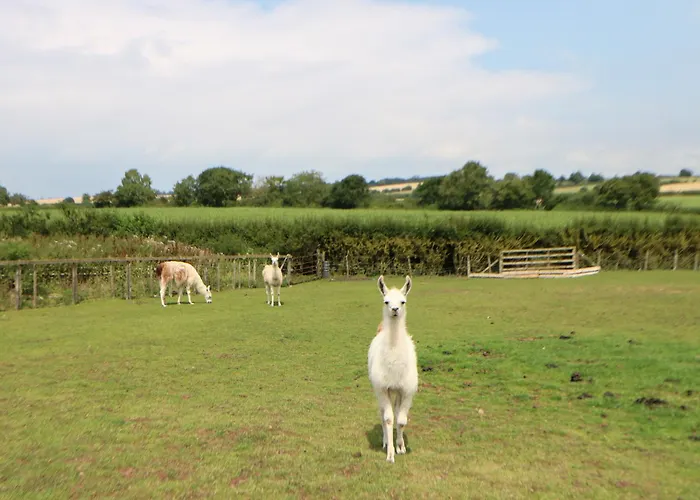 Holiday home Cornfield *